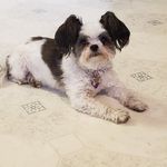 Larry Rhoades - @lrhoades3210 - Instagram