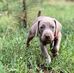 Larry Ribbeck - Facebook