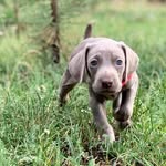 Larry Ribbeck - @ribbecklarry - Instagram
