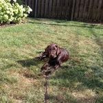 Larry Riegel - @larryriegel - Instagram