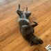 Larry Rinaldi - Facebook