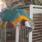 larry roach - @larry.roach62471 - Instagram