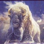 larry Roach - @roach7190 - Instagram