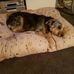 Larry Robert - Facebook