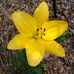 Larry Robidoux - Facebook