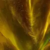 Laurie Robidoux - @laurie.robidoux1 - TikTok