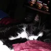 Larry Crockett - @larry.crockett5 - TikTok