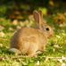 Laura Rowley - Facebook