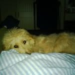 Larry Roe - @larroe - Instagram