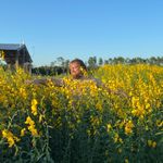 Larry Rohr - @softserve27 - Instagram