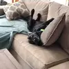 Larry Roman - @larry.roman - TikTok