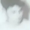Larry Romano886 - @larryromano886 - TikTok