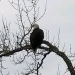 Larry Rooks - @larry.rooks.75 - Instagram