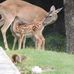 Larry Ropp - Facebook