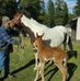 Larry Roseberry - Facebook