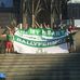 Rovers Larry - Facebook