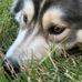 Larry Royston - Facebook