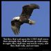 Larry Runion - Facebook