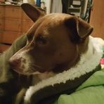Larry Runnels - Facebook