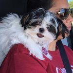 Larry Rush - @larryrush2016 - Instagram