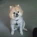 Larry Sackett - Facebook