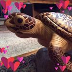 Larry Gail Salmon - @larrygailsalmon - Instagram
