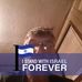 Larry Sauer - Facebook