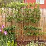 Larry Sauers - @larrysauers - Instagram