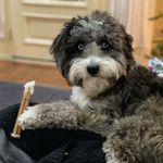 Larry Savell - @larry.savell - Instagram