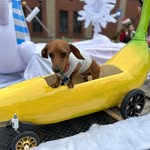 Larry Sax - @larry.sax.9 - Instagram