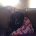 Larry Scarberry - Facebook