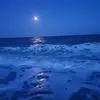 Larry Schall - @larryschall - TikTok