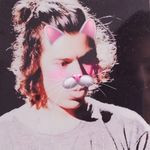 I Ship Bullshit - @larryschild__ - Instagram