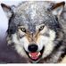 Larry Schilz - Facebook