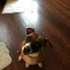 larryschimmel862cooper - @larryschimmel862 - TikTok