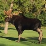 Larry schmid - @blschmid2 - Instagram