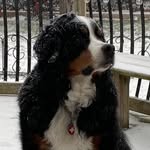 Larry Schmid - @larry.schmid.3 - Instagram