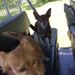 Larry Schmidt - @larry.schmidt.7967 - Instagram