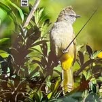 Larry.Schmidt46457 - @larry.schmidt46457 - Instagram