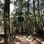 Larry Schuman - @larry.schuman - Instagram