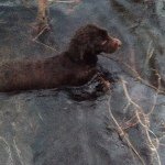 Larry Sealey - @sealeyh1 - Instagram