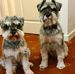 Larry Searle - Facebook
