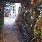 Larry Sedillo - @sedillo.larry - Instagram