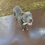 larry,session - @larrysession9986 - Instagram