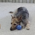 Larry Shackelford - @shackelford_larry - Instagram