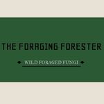 Larry Shaffer - @theforagingforester - Instagram