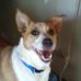 Larry Shaffer - Facebook