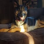 Larry Shane Kernodle - @ralph_snarky - Instagram