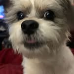 Larry Sharp - @larrysharp646 - Instagram