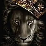 Larry Shaver - @larryshaver031 - Instagram